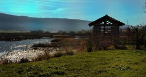 Anne-Rose BOUYER - KAURI ARCHITECTURE